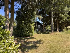 Prodej zahrady, Tachov, 595 m2