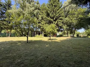 Prodej zahrady, Tachov, 595 m2