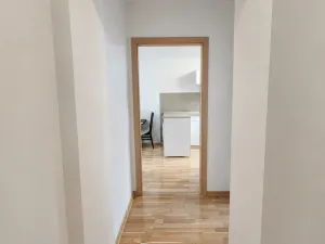 Pronájem bytu 1+1, Praha - Nusle, Křesomyslova, 53 m2