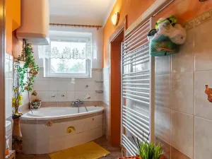Prodej rodinného domu, Písek, Erbenova, 315 m2