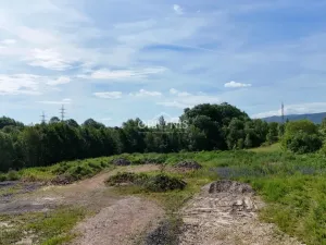 Prodej komerčního pozemku, Klášterec nad Ohří, Palackého, 5674 m2