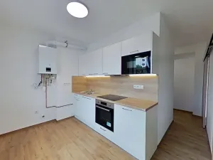 Pronájem bytu 2+1, Čáslav, Ant. Dvořáka, 56 m2