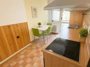 Prodej bytu 1+1, Strakonice - Strakonice I, Arch. Dubského, 37 m2