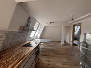 Pronájem bytu 3+kk, Liberec, Šlikova, 60 m2