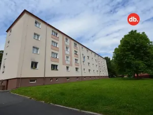 Prodej bytu 2+1, Ostrov, Luční, 64 m2