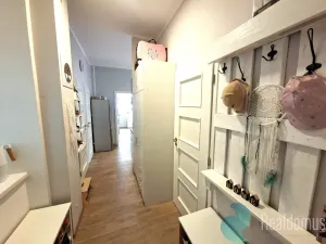 Pronájem bytu 1+1, České Budějovice, Komenského, 47 m2