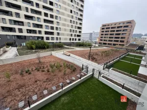 Pronájem bytu 2+kk, Praha - Vysočany, Fafkových, 50 m2