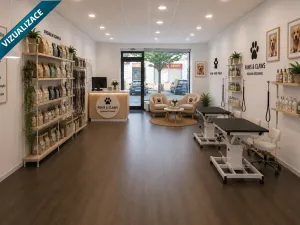Pronájem obchodního prostoru, Šternberk, ČSA, 63 m2