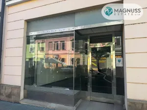 Pronájem obchodního prostoru, Šternberk, ČSA, 63 m2