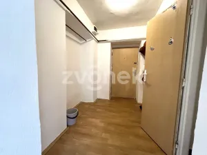 Prodej bytu 1+1, Hulín, Kostelní, 46 m2