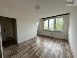 Pronájem bytu 1+kk, Most, Růžová, 27 m2