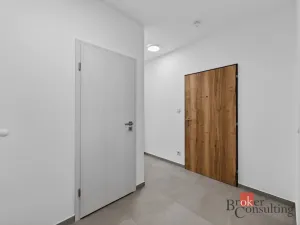 Pronájem bytu 2+kk, Plzeň - Jižní Předměstí, Železná, 63 m2