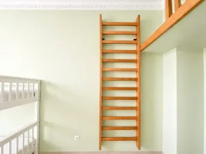 Pronájem bytu 3+kk, Praha - Nové Město, Wenzigova, 85 m2