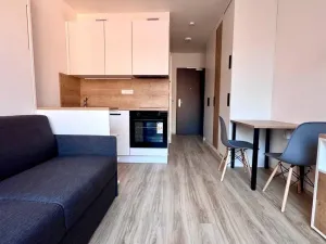 Pronájem bytu 1+kk, Praha - Smíchov, Plzeňská, 25 m2