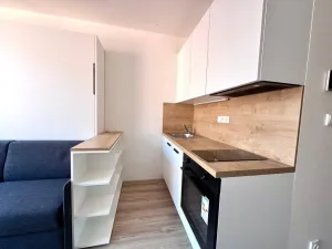 Pronájem bytu 1+kk, Praha - Smíchov, Plzeňská, 25 m2