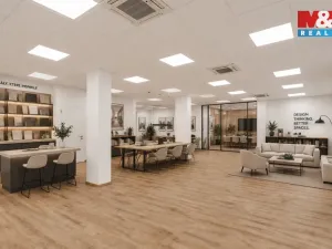 Prodej kanceláře, Plzeň - Severní Předměstí, Otýlie Beníškové, 284 m2