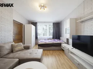 Prodej bytu 1+1, Ostrov, Kollárova, 36 m2