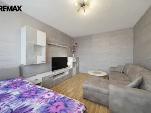 Prodej bytu 1+1, Ostrov, Kollárova, 36 m2
