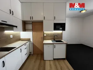 Pronájem bytu 1+kk, Řevničov, Karlovarská, 25 m2