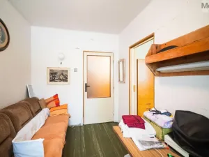 Prodej vícegeneračního domu, Chomutov, Krátká, 270 m2