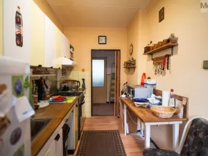 Prodej vícegeneračního domu, Chomutov, Krátká, 270 m2