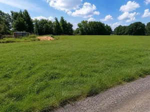 Prodej louky, Dubné - Třebín, 723 m2
