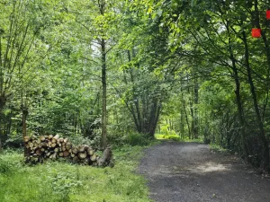 Prodej rodinného domu, Hrádek nad Nisou - Donín, K Rybníku, 250 m2