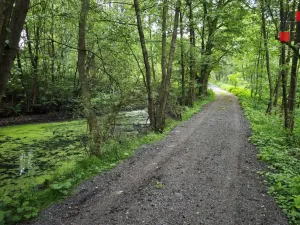 Prodej rodinného domu, Hrádek nad Nisou - Donín, K Rybníku, 250 m2