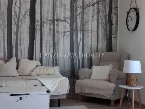 Pronájem bytu 3+1, Strakonice, Dukelská, 65 m2