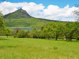 Prodej pozemku pro bydlení, Třebenice, 5844 m2