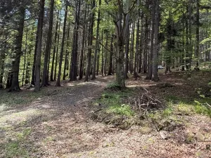Prodej chaty, Krásná, 50 m2