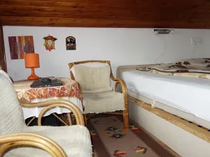 Prodej chaty, Nedvědice, 81 m2