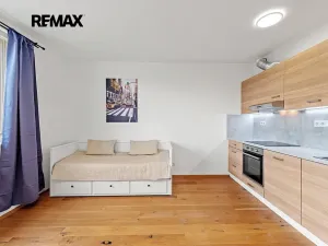 Pronájem bytu 1+kk, Praha - Vinohrady, Perucká, 27 m2