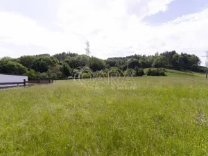 Prodej pozemku pro bydlení, Palkovice - Myslík, 1000 m2