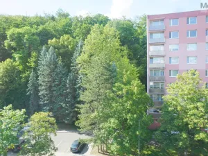 Prodej bytu 3+1, Litvínov - Horní Litvínov, Tylova, 64 m2