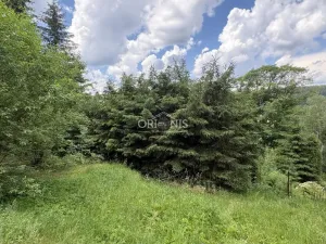 Prodej chalupy, Vejprty, Alešova, 214 m2