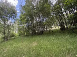 Prodej chalupy, Vejprty, Alešova, 214 m2