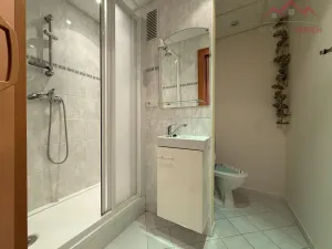 Prodej bytu 1+1, Chomutov, Písečná, 36 m2