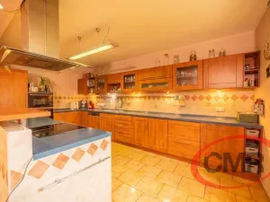 Prodej rodinného domu, Jesenice, Za Rybníkem, 350 m2