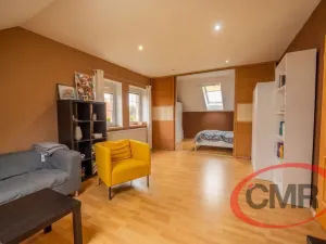 Prodej rodinného domu, Jesenice, Za Rybníkem, 350 m2