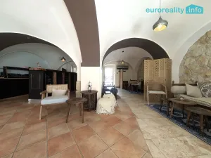 Pronájem restaurace, Plzeň, Zbrojnická, 40 m2