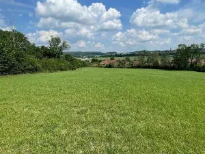 Prodej louky, Luže, 11020 m2