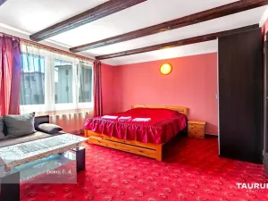 Prodej ubytování, České Budějovice - České Budějovice 6, Mayerova, 269 m2
