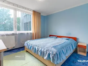 Prodej ubytování, České Budějovice - České Budějovice 6, Mayerova, 269 m2