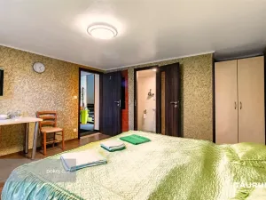 Prodej ubytování, České Budějovice - České Budějovice 6, Mayerova, 269 m2