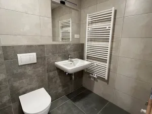 Pronájem bytu 1+kk, Plzeň - Jižní Předměstí, Goldscheiderova, 29 m2