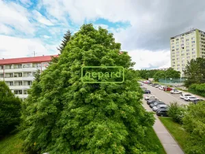 Prodej bytu 2+1, Brno - Kohoutovice, Stamicova, 59 m2