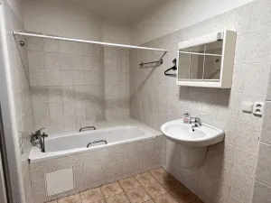 Pronájem bytu 1+kk, Praha - Žižkov, Vlkova, 41 m2