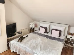 Pronájem bytu 2+kk, Brno - Husovice, Dačického, 41 m2