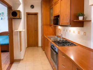 Prodej bytu 2+kk, Trutnov - Horní Předměstí, Švábenicova, 56 m2